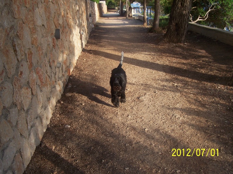 6 Chorvatsko - červenec 2012.JPG